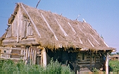 vil. Dumchevo, Zalesovsky region. Straw roof. 51 Kb